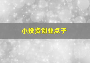 小投资创业点子