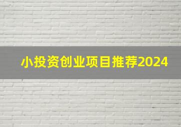 小投资创业项目推荐2024