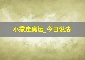 小撒走奥运_今日说法