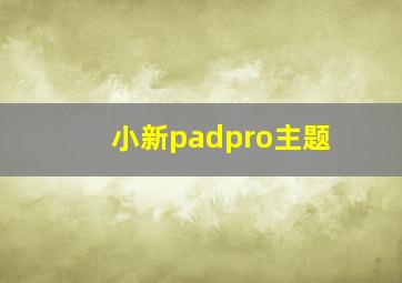 小新padpro主题