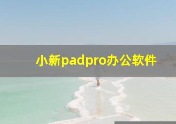 小新padpro办公软件