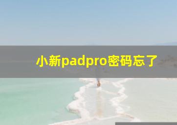 小新padpro密码忘了