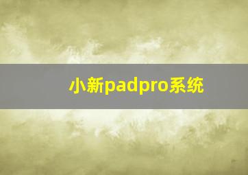 小新padpro系统