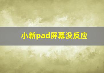 小新pad屏幕没反应