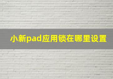 小新pad应用锁在哪里设置