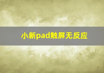 小新pad触屏无反应