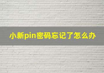 小新pin密码忘记了怎么办