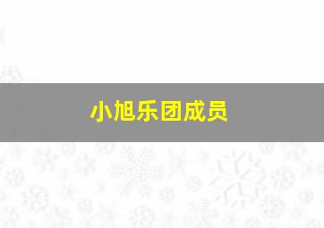 小旭乐团成员