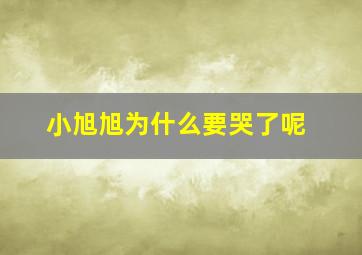 小旭旭为什么要哭了呢