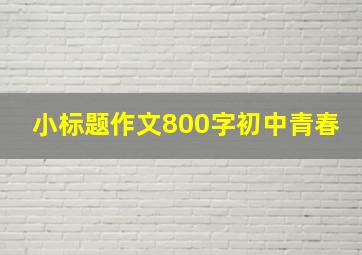 小标题作文800字初中青春