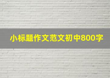 小标题作文范文初中800字