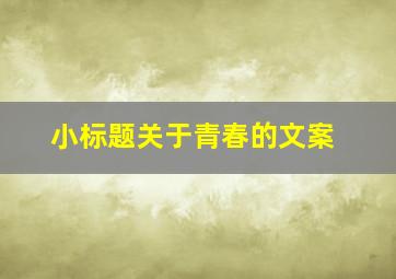 小标题关于青春的文案