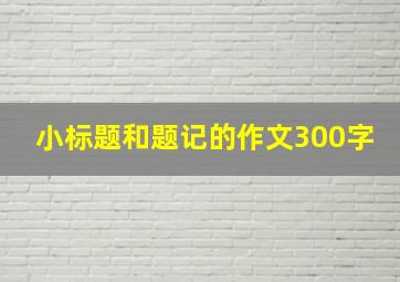 小标题和题记的作文300字