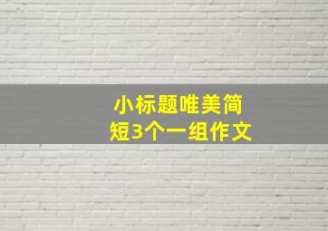 小标题唯美简短3个一组作文