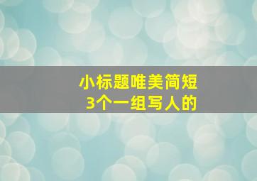 小标题唯美简短3个一组写人的