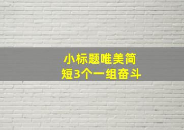 小标题唯美简短3个一组奋斗