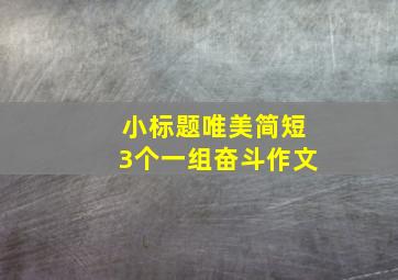 小标题唯美简短3个一组奋斗作文