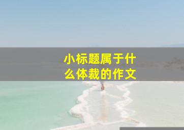 小标题属于什么体裁的作文