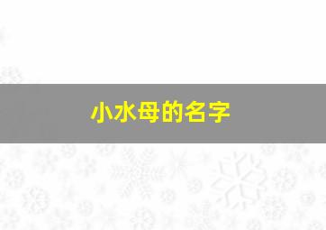 小水母的名字