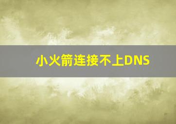 小火箭连接不上DNS