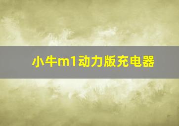 小牛m1动力版充电器