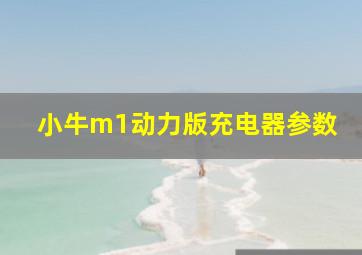 小牛m1动力版充电器参数