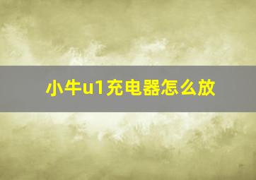 小牛u1充电器怎么放