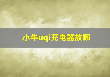 小牛uqi充电器放哪