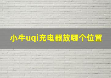 小牛uqi充电器放哪个位置