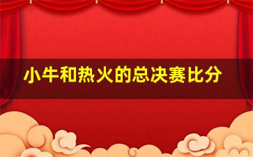 小牛和热火的总决赛比分