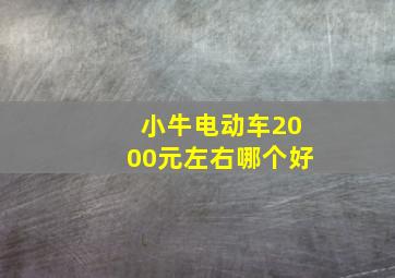 小牛电动车2000元左右哪个好