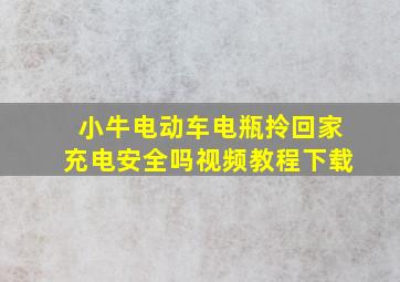 小牛电动车电瓶拎回家充电安全吗视频教程下载