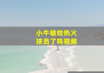 小牛输给热火球员了吗视频