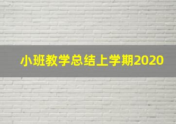 小班教学总结上学期2020