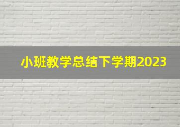 小班教学总结下学期2023