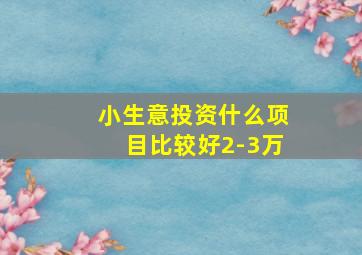 小生意投资什么项目比较好2-3万