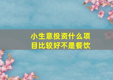 小生意投资什么项目比较好不是餐饮