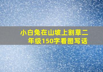 小白兔在山坡上割草二年级150字看图写话