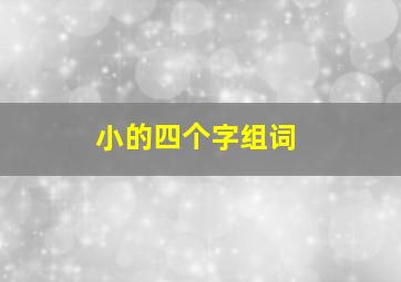 小的四个字组词