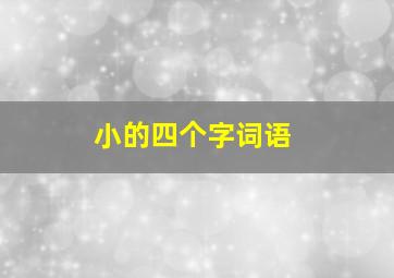 小的四个字词语