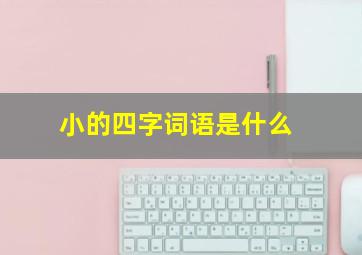 小的四字词语是什么