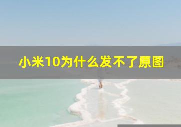 小米10为什么发不了原图