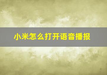 小米怎么打开语音播报