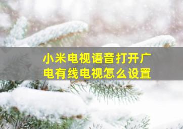 小米电视语音打开广电有线电视怎么设置