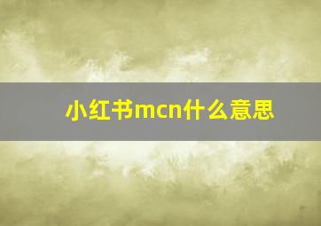 小红书mcn什么意思