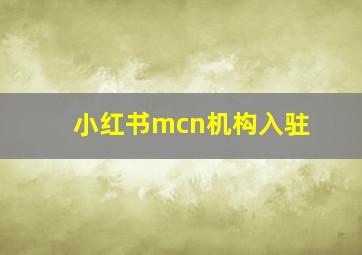 小红书mcn机构入驻