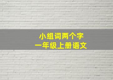 小组词两个字一年级上册语文