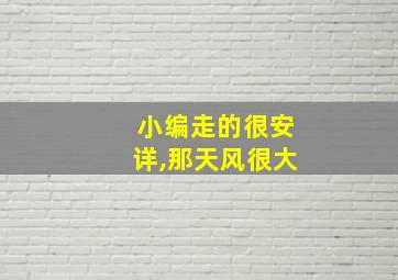 小编走的很安详,那天风很大