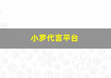 小罗代言平台