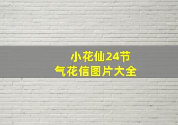 小花仙24节气花信图片大全